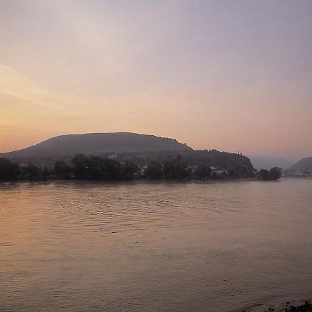 Bellevue Rheinhotel Boppard Buitenkant foto